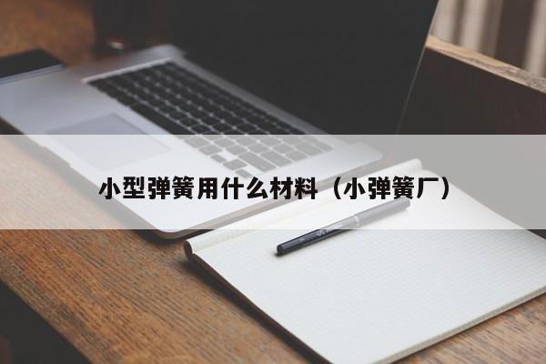 小型弹簧用什么材料（小弹簧厂）