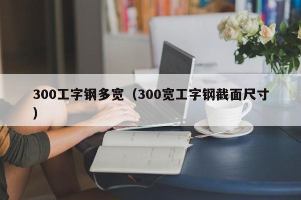 300工字钢多宽（300宽工字钢截面尺寸）