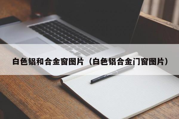 白   铝和合金窗图片（白   铝合金门窗图片）