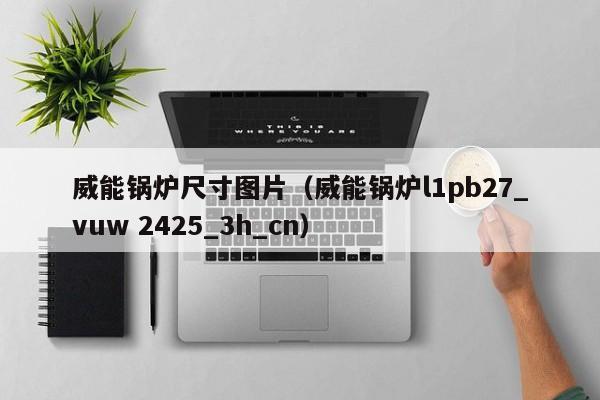 威能锅炉尺寸图片（威能锅炉l1pb27_vuw 2425_3h_cn）